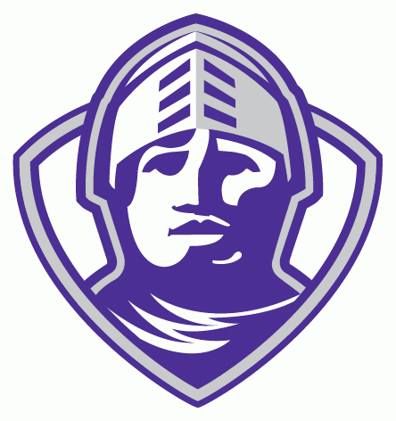 Furman Paladins 2002-2012 Alternate Logo diy DTF decal sticker